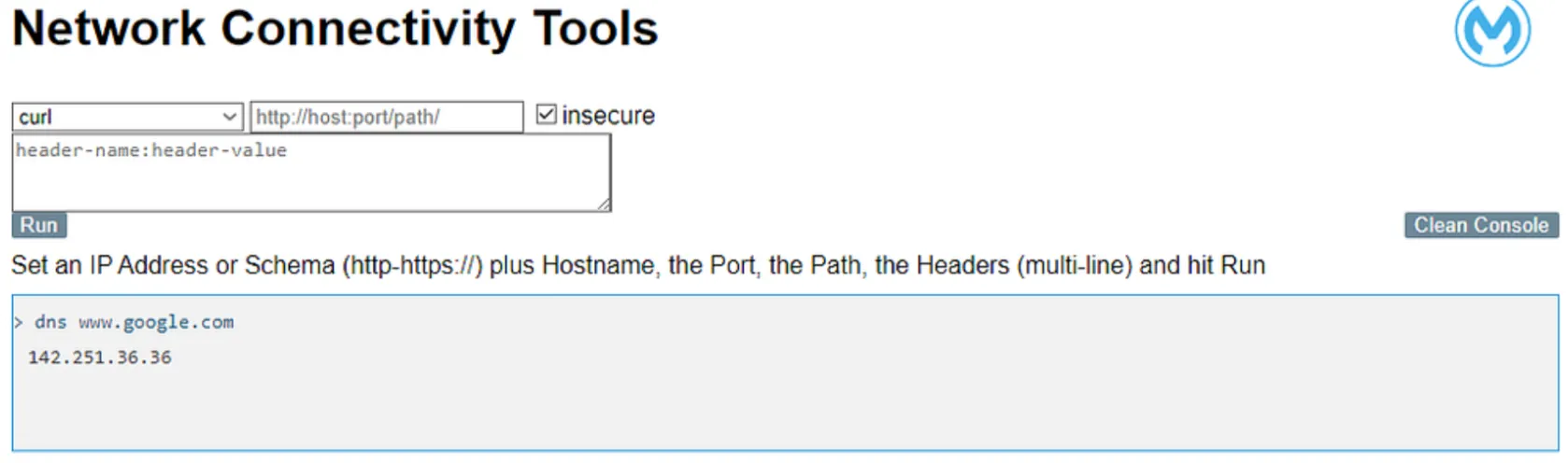 net-tools Network Connectivity Tools web UI with a curl form and DNS console output