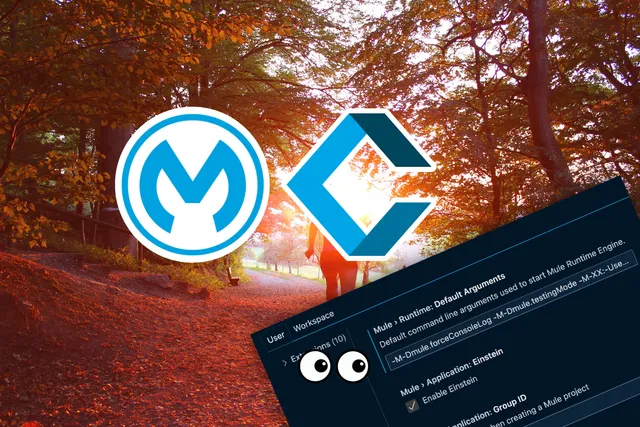 How to add JVM/Command-line arguments to the Mule 4 Runtime in Anypoint Code Builder (ACB)