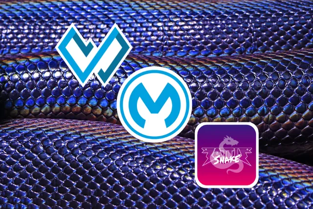 How to develop a Battlesnake using a MuleSoft API and the DataWeave language