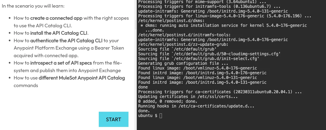 Killercoda scenario steps with a START button and the Ubuntu terminal prompt ready