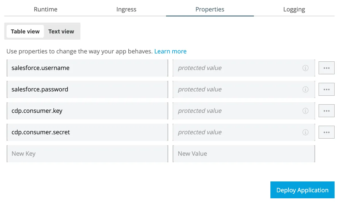 Properties table showing each credential value as a protected value