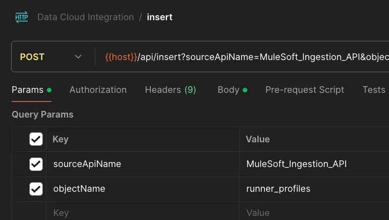 Postman insert request Params tab with sourceApiName and objectName query parameters