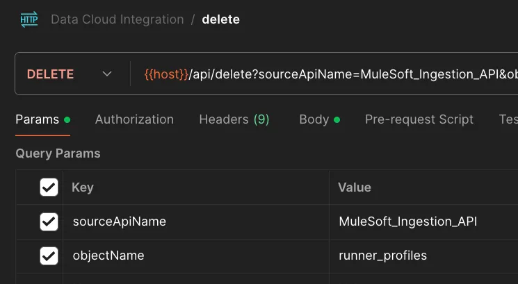 Postman delete request Params tab with sourceApiName and objectName query parameters