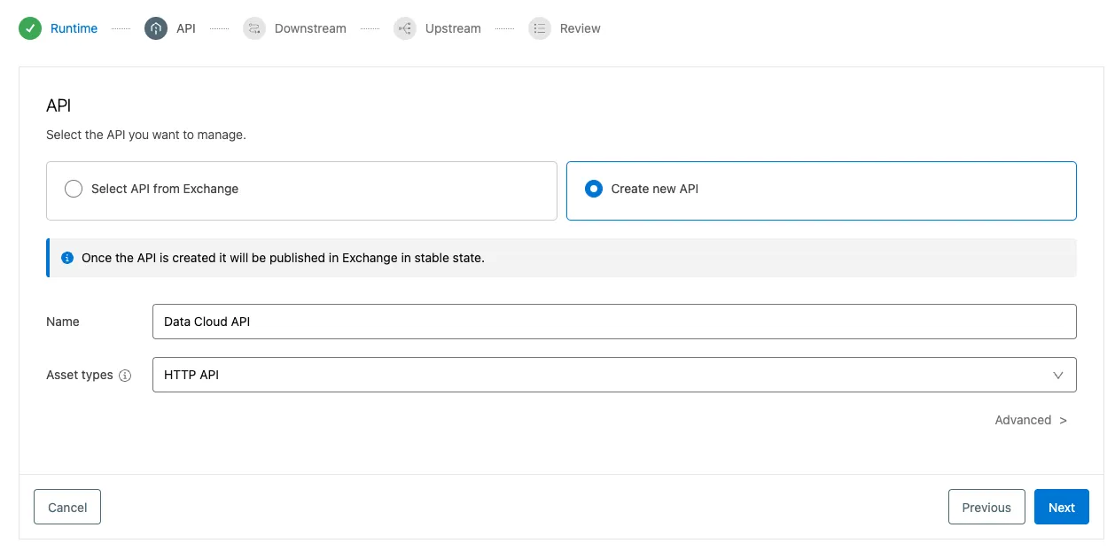 Add API step creating a new API named Data Cloud API with the HTTP API asset type