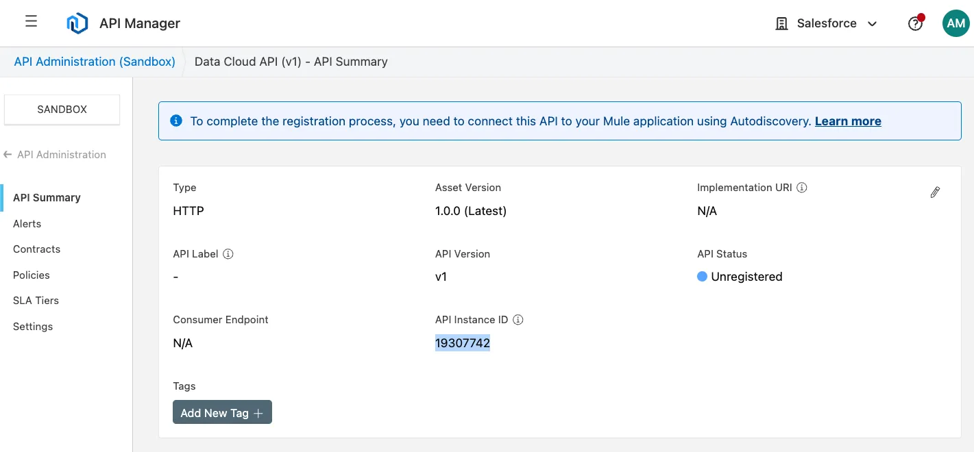 API Summary page showing the API Instance ID 19307742 and an Unregistered API status