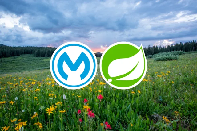 Spring Module Integration in a Mule Application (Mule 4)